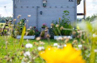 Magia Krutyni - Foto 3