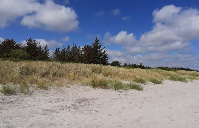 Lovely Holiday Home in Jutland near Sea - Foto 7