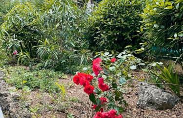 Home2Sea - Piscine, Jardin, studio cabine, 1 canapé lit convertible 2 ADULTES, 1 lit superposé triple 3 ENFANTS ou ADOS - Foto 61