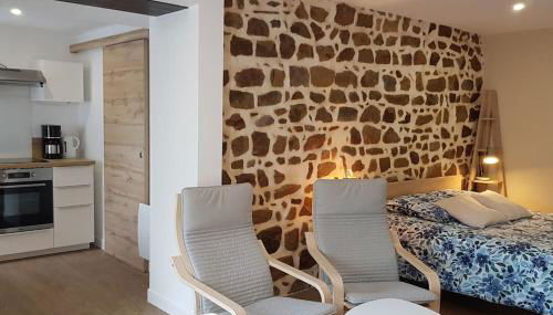 Studio chaleureux 5 mns chaine des Puys - Foto 4