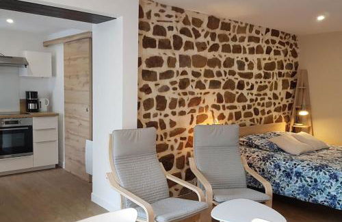 Studio chaleureux 5 mns chaine des Puys - Foto 4