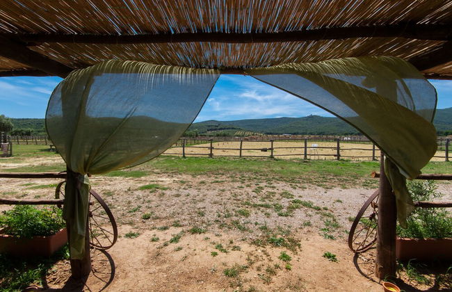 Tenuta Uccellina - Foto 58