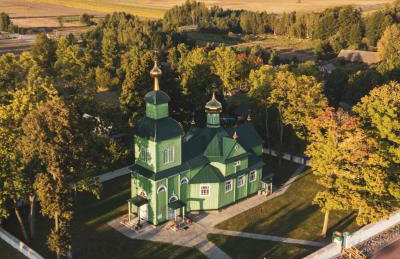 Miło las widzieć - Foto 63