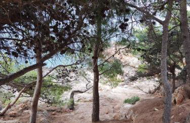 Apartment Zagalo - Foto 46