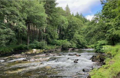 Smelters Rest - Foto 20