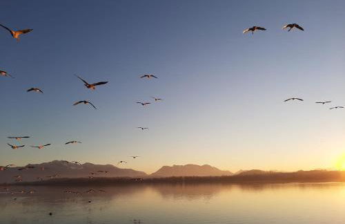 Ferienwohnung Bergliebe - Photo 10