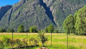 Apartment in Somaggia - CasaCamillo - Foto 2, Garden