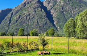 Apartment in Somaggia - CasaCamillo - Foto 2