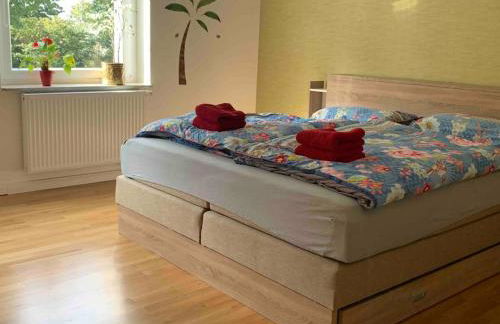 Mitten im Ruhrgebiet immer Willkommen, wlan , Netflix, Parking Free, 100m2 flat - Foto 11