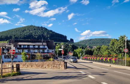 Charaktervolle 122qm Altbau-Ferienwohnung mit Stuck, viel Platz für Familien & Gruppen bis zu 8 Personen, Parkplatz inklusive - Photo 80