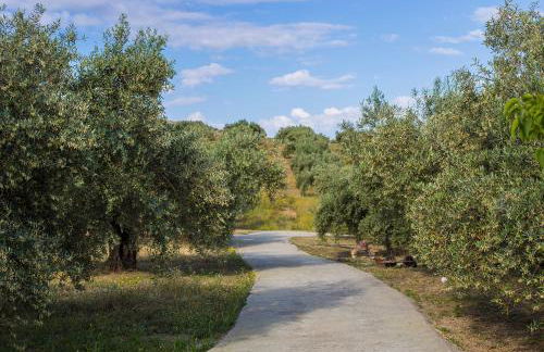 Vivienda rural del salado - Foto 63