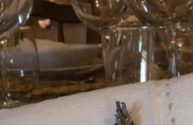 Casa da Laja - Casas de Villar- Rural Experience - Foto 3