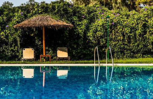 Spiti Prifti Apartments - Photo 102