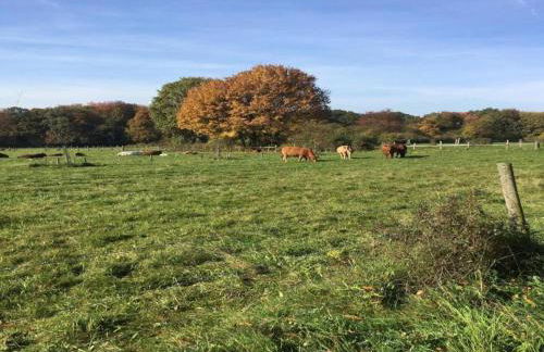 Wohnung mit Terrasse in Waldbrunn-Ellar - Foto 39