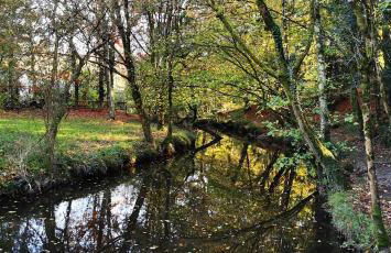 Home nature - Foto 12