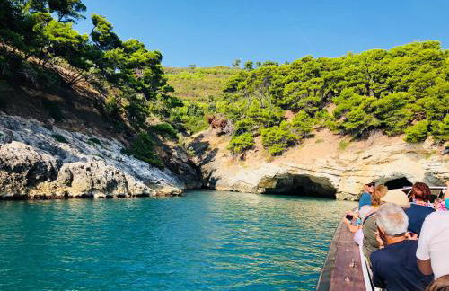 Belvedere Home - Foto 51