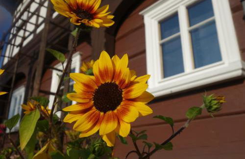 Apartment Finkenhübelblick - Foto 27