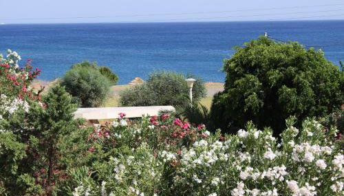 Athina - Foto 5, Garden