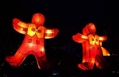 Botanical garden view in Metz - Foto 6