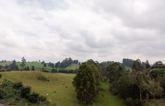 Apartasuite A 3 Min Del Aeropuerto Jmc - Foto 12