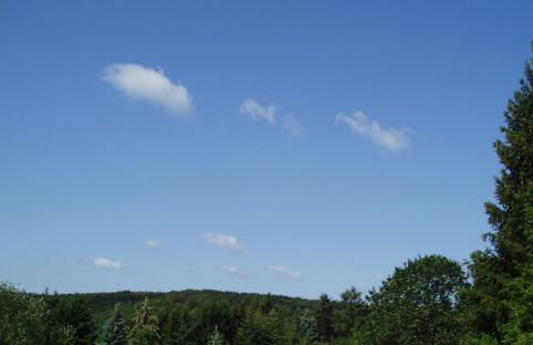 EIFELCOTTAGE Family 9 - Photo 12