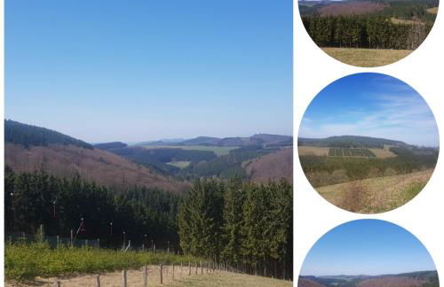 Ferienwohnung Parkblick Medebach - wunderschöne 52qm Dachterasse - in der Nähe von Center Parcs - Foto 37