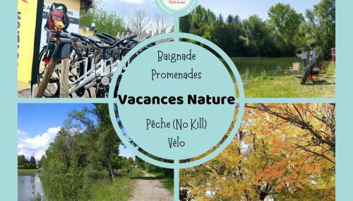 Le Muscat - bungalow pour 5 - TV - Clim - Foto 4