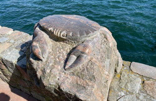 Ferienhaus Seemöwe - Foto 41