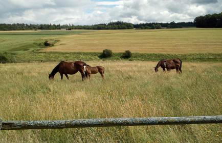 Schöne Aussicht - Foto 8