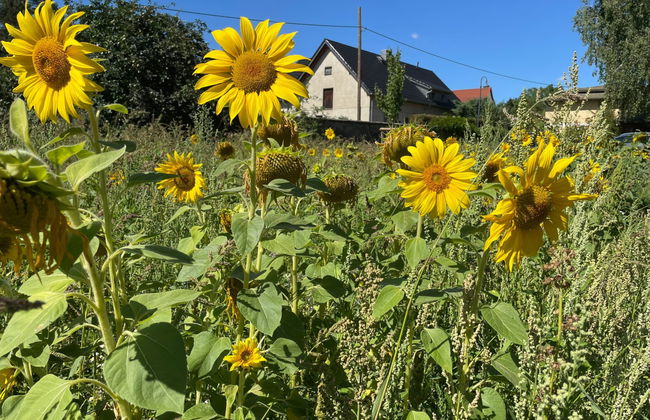 Gärtnerhaus - Foto 23