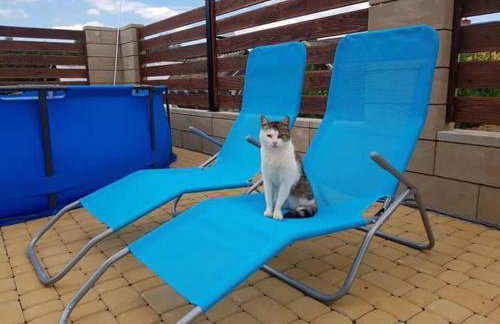 Apartamenty Maja - Foto 20