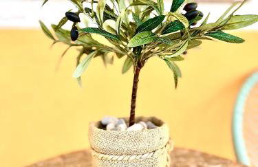 Apartments Vukancic - Foto 19