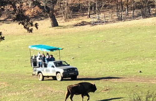 Paleolítico rural - Photo 72