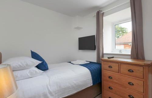 Bewick Swan - Ukc2111 - Photo 8