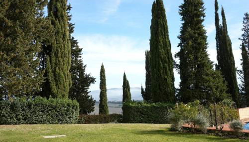 Olive Tree Apartment - Foto 2, Garden, Garden view