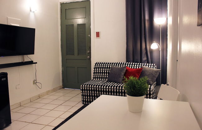 Gladiolas 1103 - Foto 10