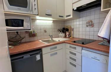 Superbe appartement à 50m des pistes parking privé - Foto 7