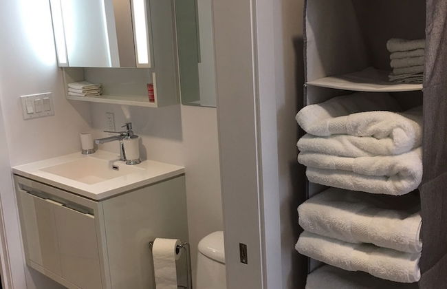 Luxury home in downtown Montreal - Photo 28