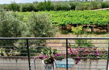 Collina sul mare - Foto 24