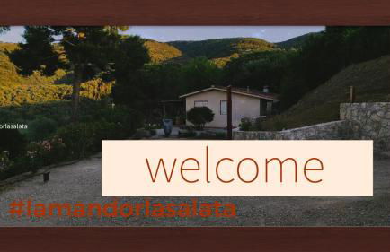 La Mandorla Salata - Foto 1