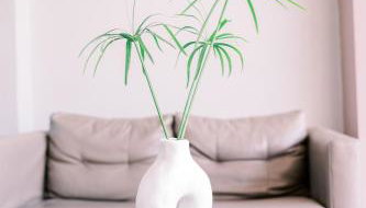 LaPlayaSuites 1st - Foto 4