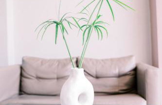 LaPlayaSuites 1st - Foto 4