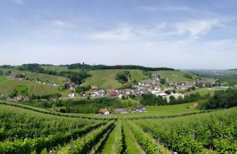 Ferienwohnung Huschle - Foto 29