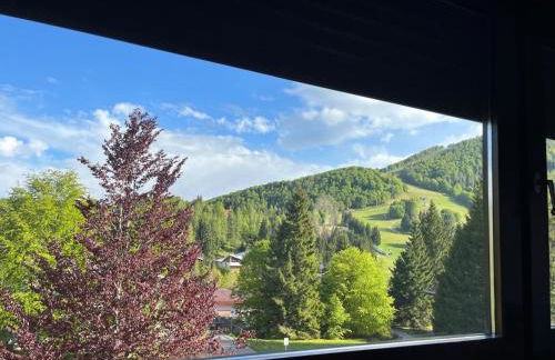 Piancavallo Loft - Garage & View - Foto 11