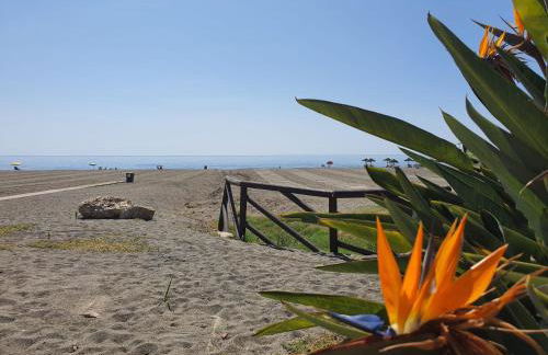 Boutique apartment near the beach, 1 Gbps Wi-Fi - Photo 50