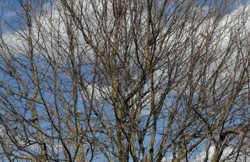 B&B Marana 14 Casa di Campagna - Foto 68