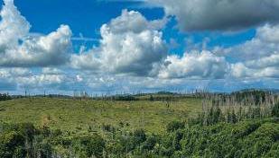 Muggel willkommen - Harz-Auszeit im Zauberquartier - Photo 5