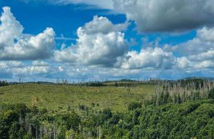 Muggel willkommen - Harz-Auszeit im Zauberquartier - Photo 5
