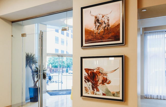 Austin Beautiful Studio Apartment - Photo 16