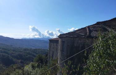 IL NIDO VERDE - Photo 6